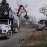 Big Bear Lake Tree Service - Tree Services in Big Bear Lake