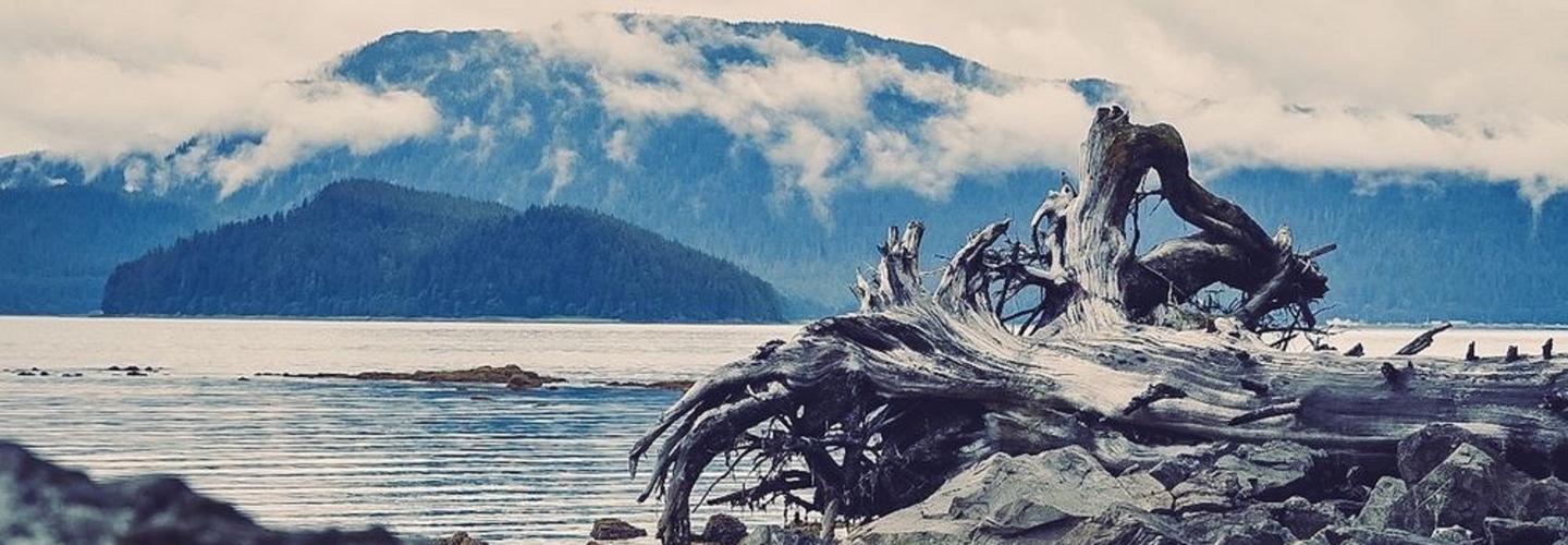 iRide Alaska- Segway & eBike Tours cover photo