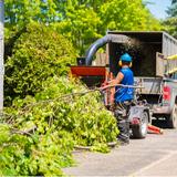 Terre Haute Tree Pros