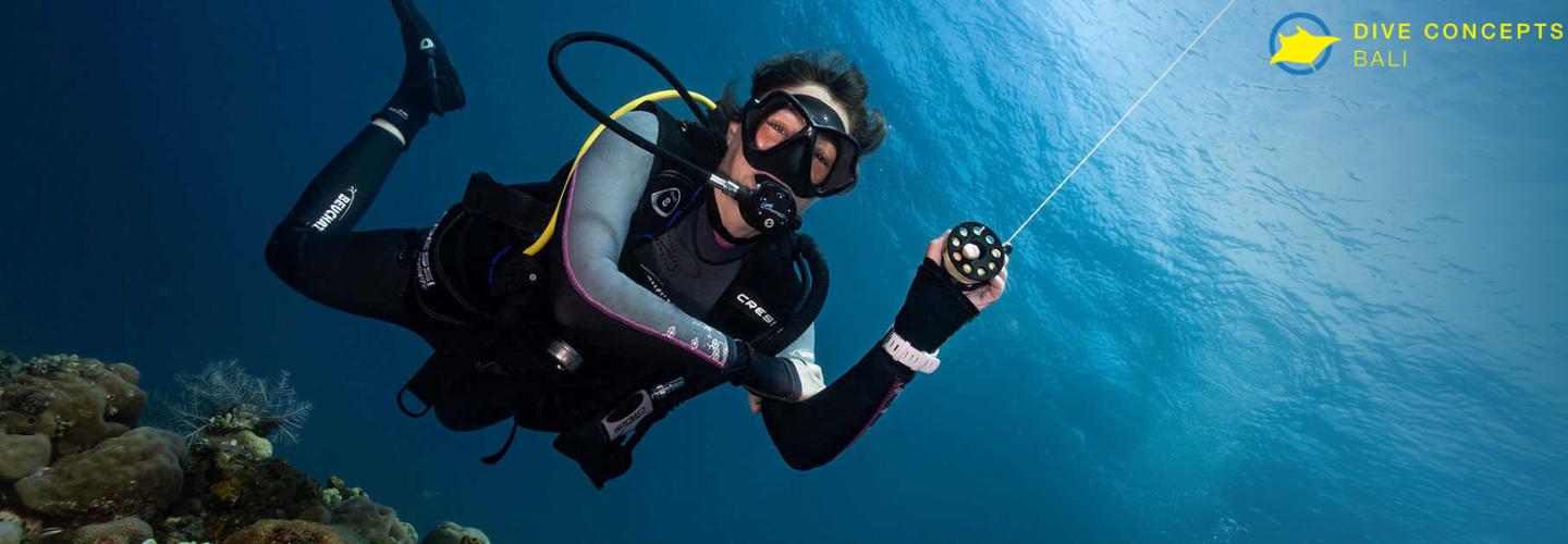 Dive Concept cover photo