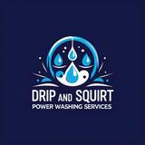 Drip and Squirt Power Washer Service - Pressure Washers in Palm Harbor