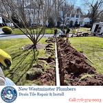 New Westminster Plumbers - photo 2