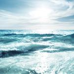 Rod Bender Fishing Charters - photo 2