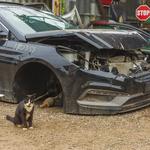 AAA All Car Auto Salvage - photo 4