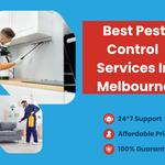 Pest Control Melbourne - photo 1
