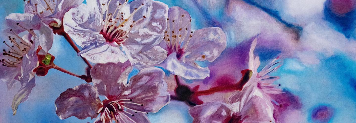 Minnie Street Aesthetics cover photo