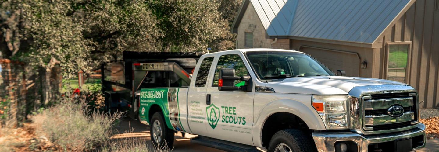 Tree Scouts Tree Service cover photo