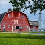 SE Yard Solutions		 - photo 1