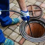 Maine Nu Flow - photo 2