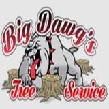 Big Dawgs Tree Service and Stumpgrinding