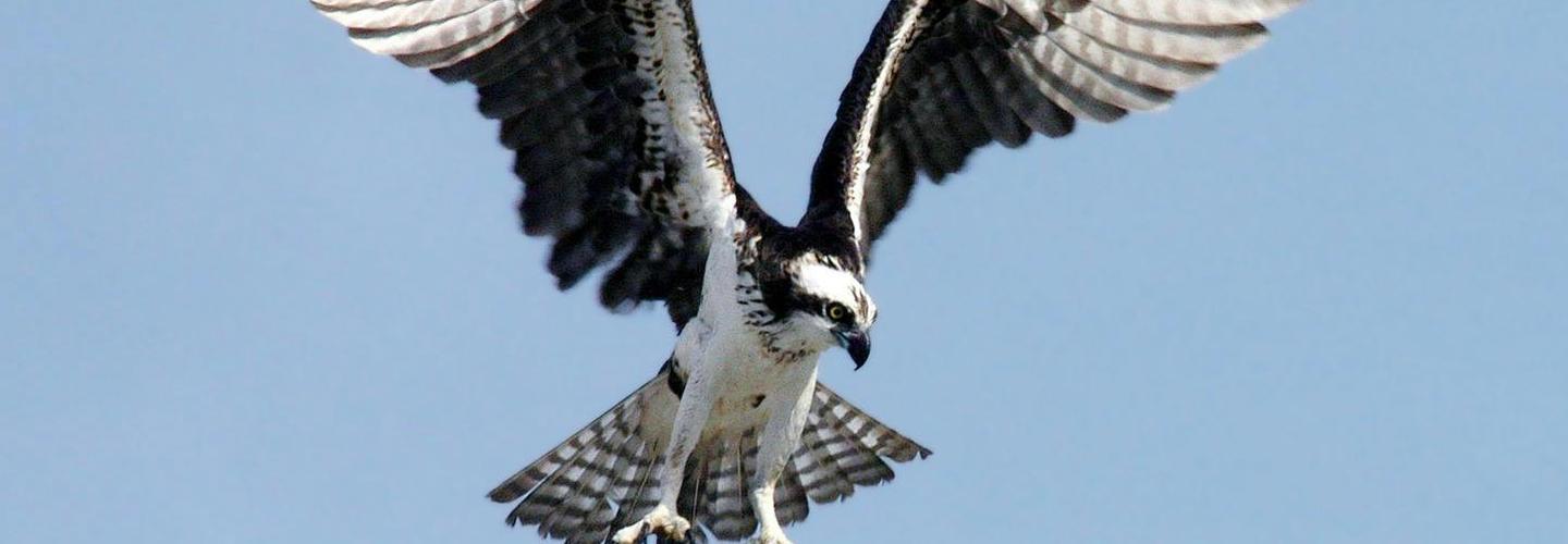 Web Development and Designing in Colorado Springs cover photo