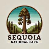 Visit Sequoia National Park