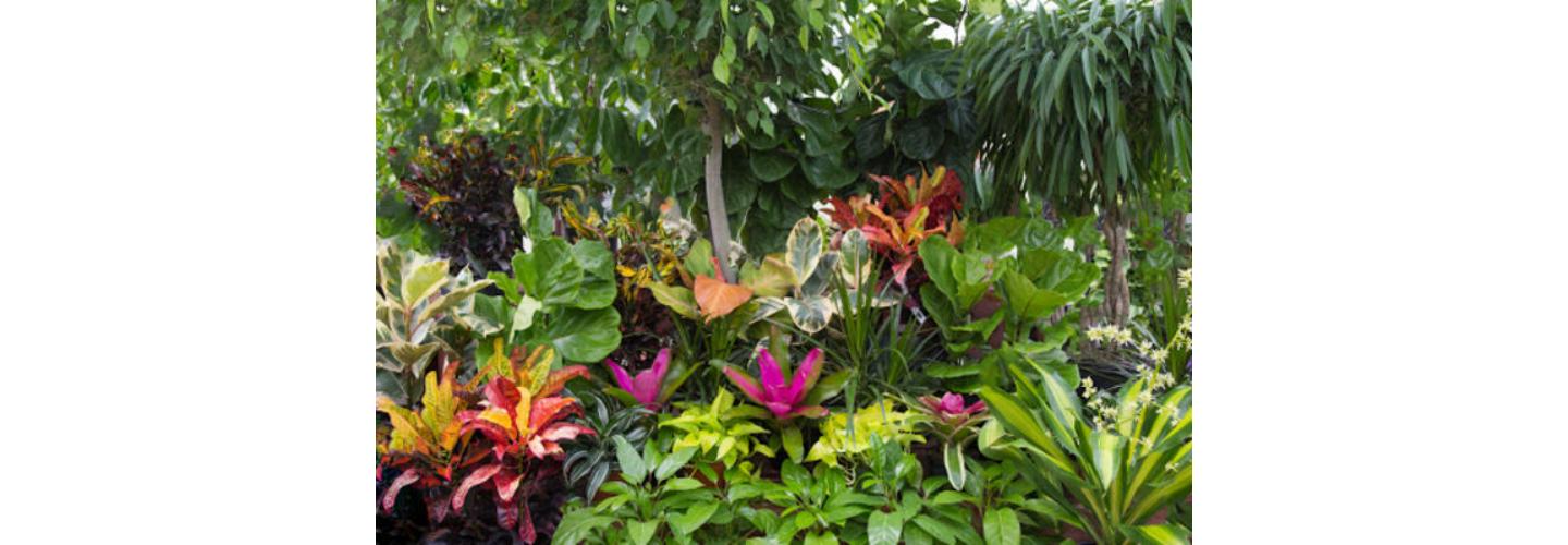 Bath Garden Center and Nursery cover photo