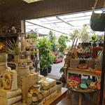 Bath Garden Center and Nursery - photo 1