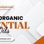 Essentiyal Store - photo 2