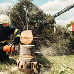 Port St Lucie Tree Service - photo 1