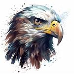 Web Development and Designing in Colorado Springs - photo 2