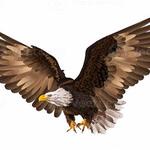 Web Development and Designing in Colorado Springs - photo 5