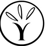 Youmino - Matchmakers/Dating Services in Casablanca