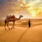 Ras Al Khaimah Desert Safari - photo 1