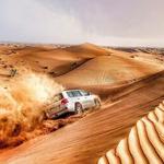 Ras Al Khaimah Desert Safari - photo 2