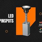 Rasha Professional - photo 1