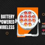 Rasha Professional - photo 2