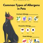 Budgetpetcare - photo 1