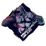 Behemoth Labz - Fitness & Instruction in Fort Lauderdale