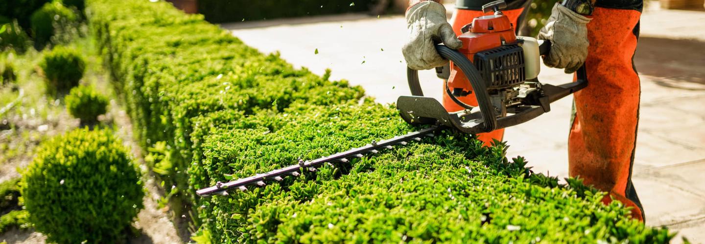 Blackpool Tree Surgeon cover photo