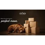 The Lazy Bear - photo 1