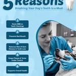 BestVetCare - photo 1