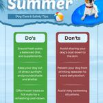 BestVetCare - photo 5