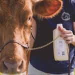 Sweet Pasture Dairy LLC Farm Store - photo 2