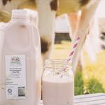 Sweet Pasture Dairy LLC Farm Store - photo 3