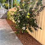 Brothers Gardenscape - photo 1