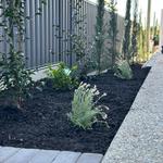 Brothers Gardenscape - photo 9