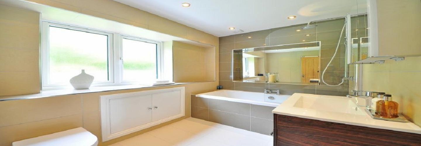 Mastic Man Essex cover photo