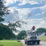 Mckay Tree Service - photo 2