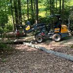 Mckay Tree Service - photo 4