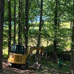Mckay Tree Service - photo 6