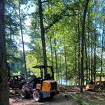 Mckay Tree Service - photo 7