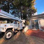 Mckay Tree Service - photo 8