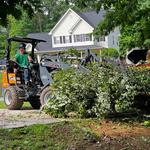 Mckay Tree Service - photo 10