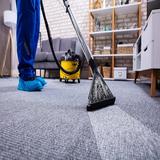 Elliot's Carpet Cleaning - Maldon - Home Cleaning in Maldon