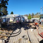 Master Cleaners Australia - photo 4