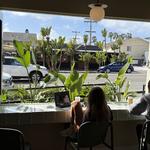 PorchLight Coffee - photo 4