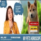 MyPet’s Horoscope