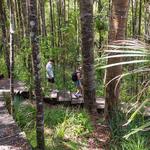 Adventures on the Hibiscus Coast - photo 1