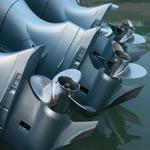 Tiny Tug Tours - photo 3